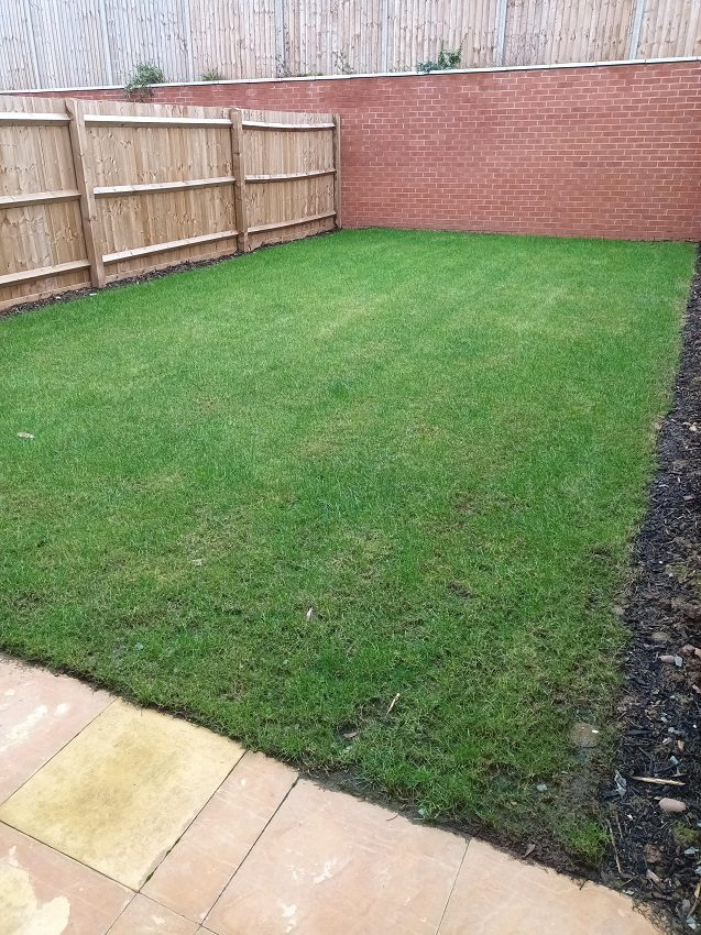 Plot 72 Rear Garden