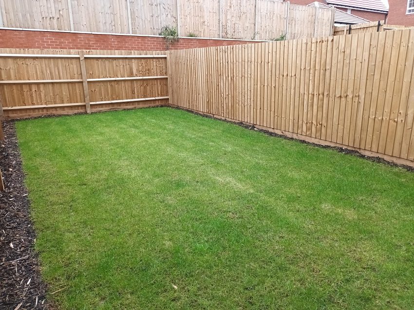 Plot 74 Rear Garden