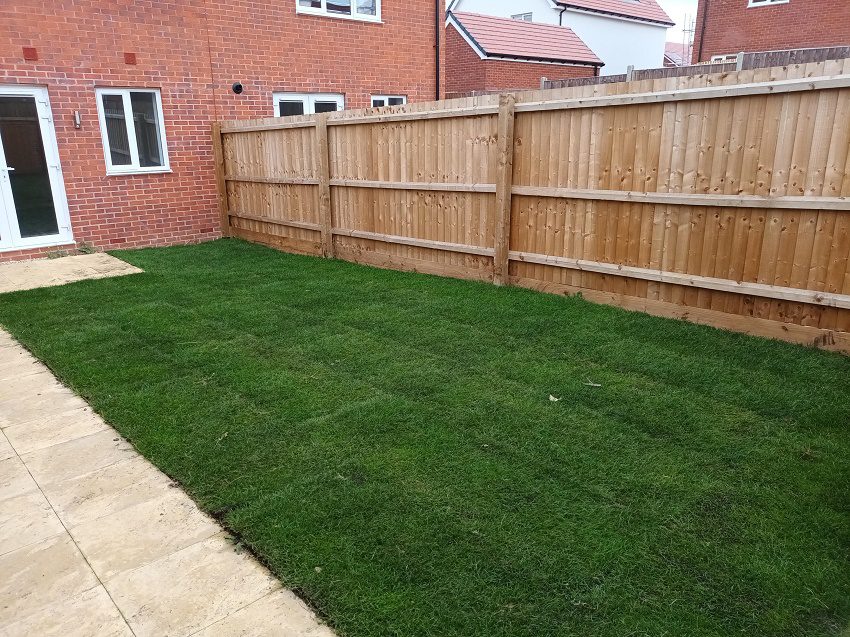 P61 Bamford Rear Garden