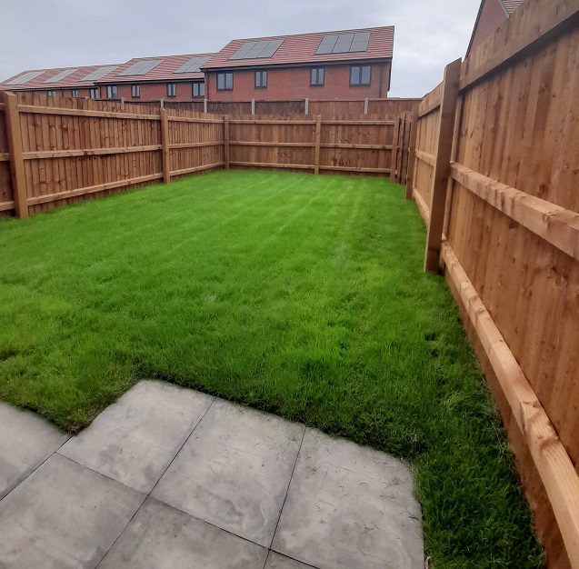 P571 Yew Tree Garden