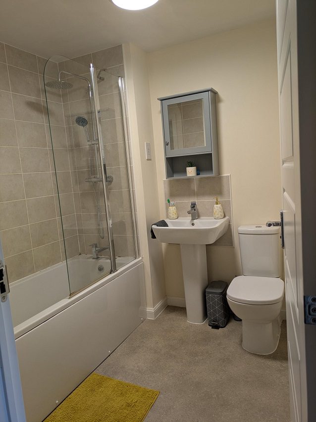 5 Hylidae Bathroom