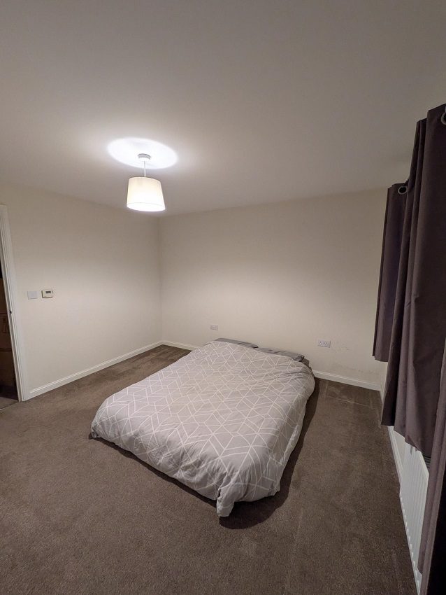 5 Hylidae Bedroom