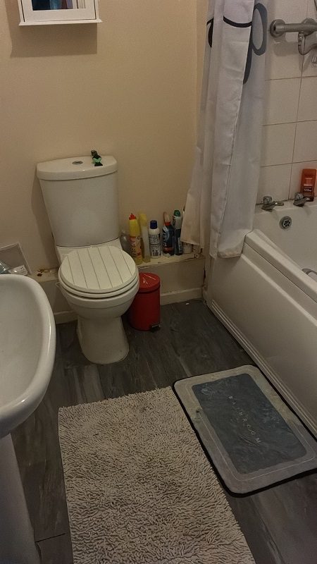 57 Philmont Bathroom