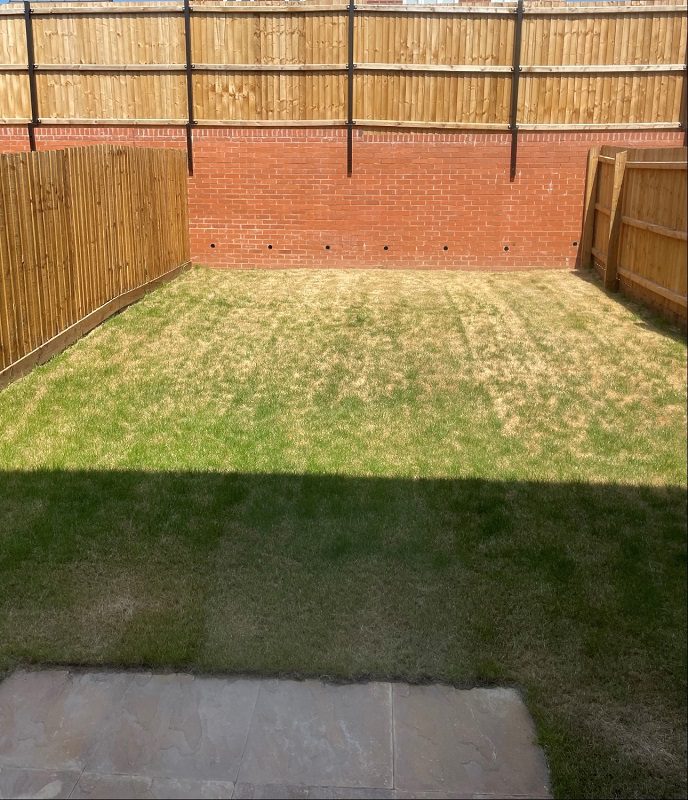 9 Clover Avenue Garden 2