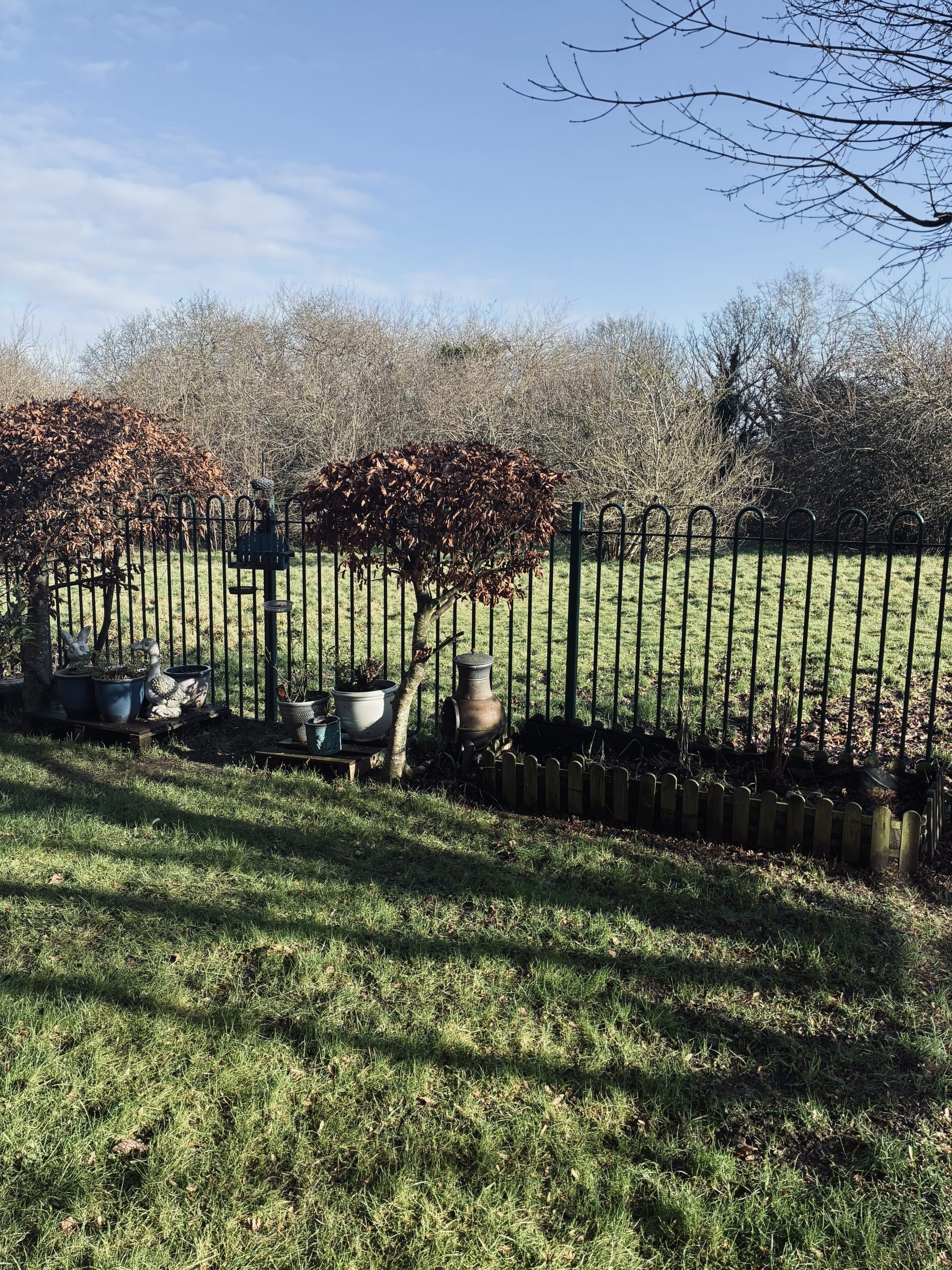 17 Bell Court Garden 3