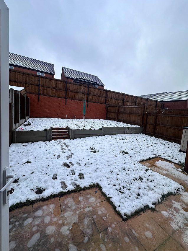 8 Tulip Tree Road Garden