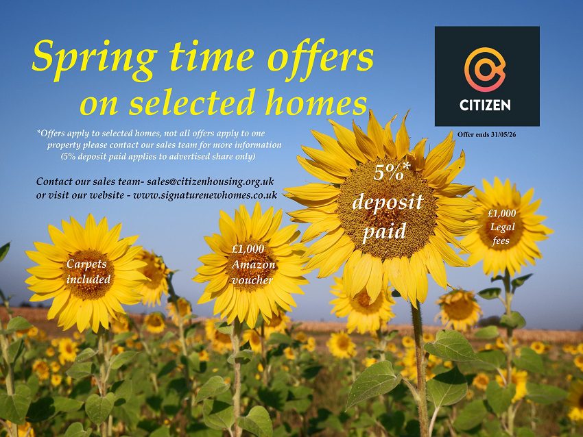 The,main,focus,are,the,four,sunflowers,in,their,later