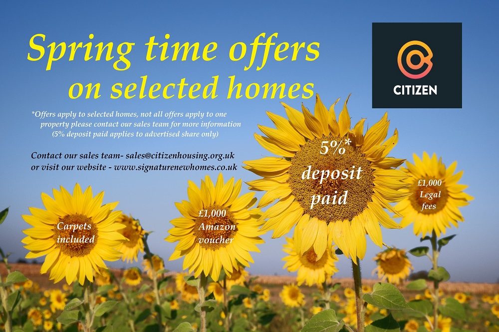 The,main,focus,are,the,four,sunflowers,in,their,later