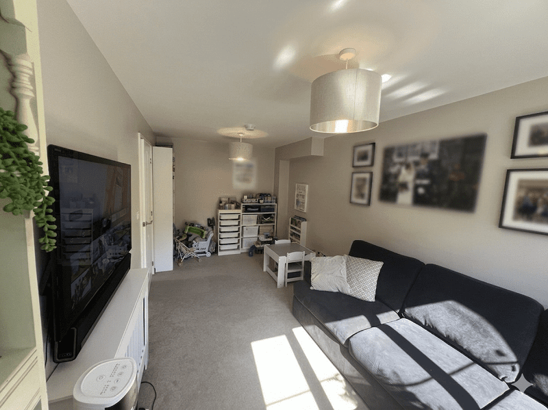 25 Beech Img 6866